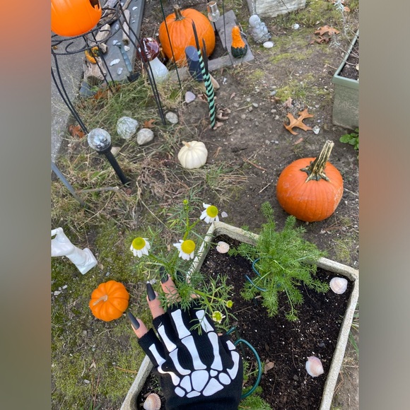 Meet your Posher, Green Goddess Cosmic Creations - Picture 9 of 11